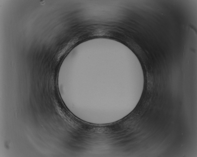 X0000103300482200809261317