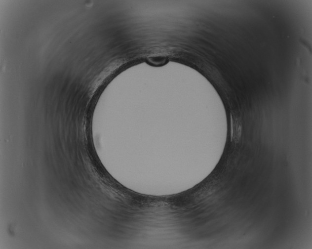 X0000103300483200809261317