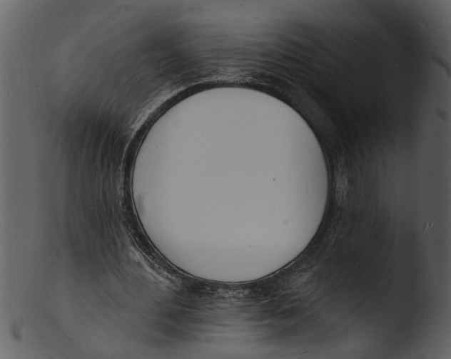 X0000103300484200809261317