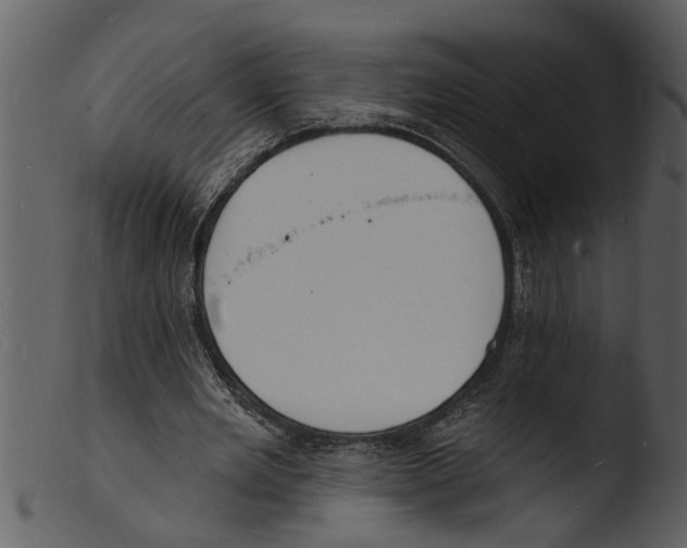 X0000103300485200809261317