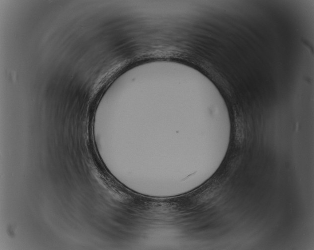 X0000103300486200809261317