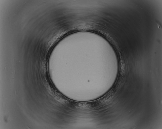 X0000103300487200809261317