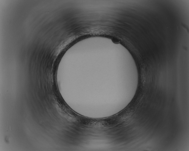 X0000103300488200809261317