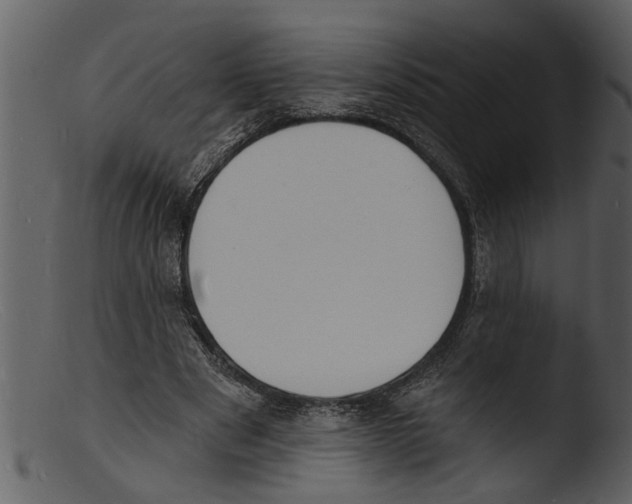 X0000103300489200809261317