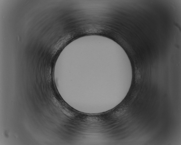X0000103300490200809261317