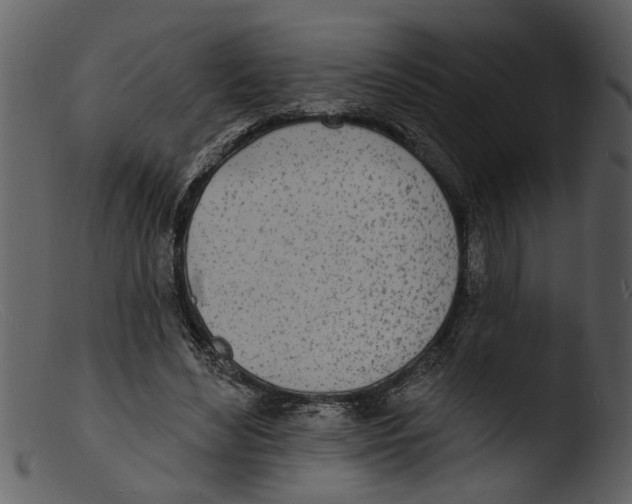 X0000103300492200809261317