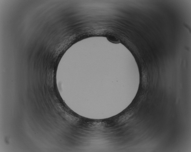 X0000103300493200809261317