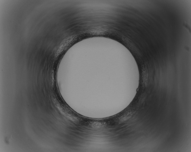 X0000103300494200809261317