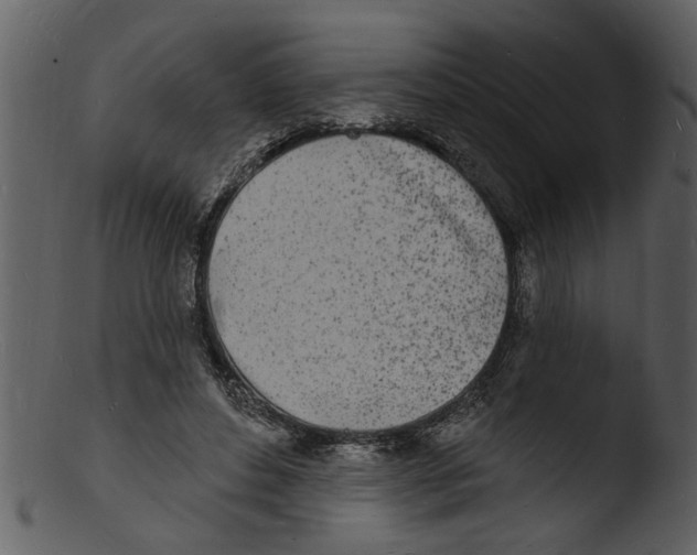 X0000103300496200809261317