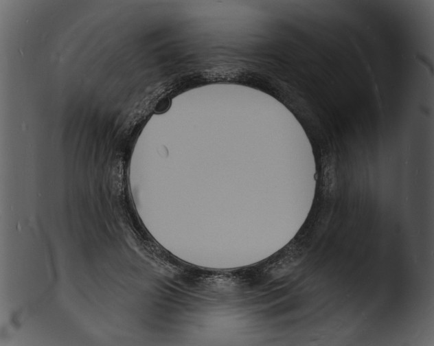X0000103300498200809261316