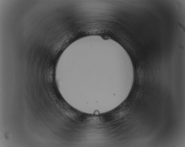 X0000103300499200809261316