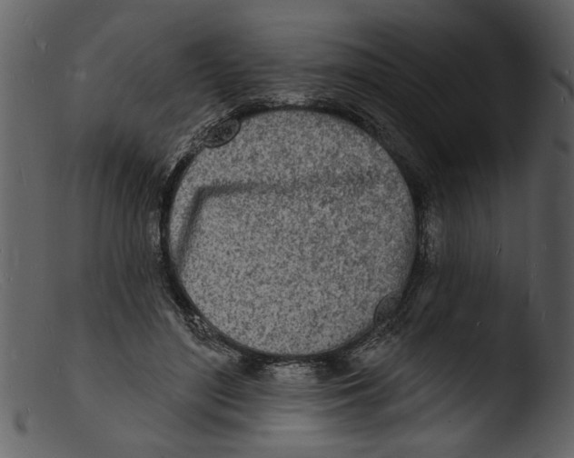 X0000103300500200809261316