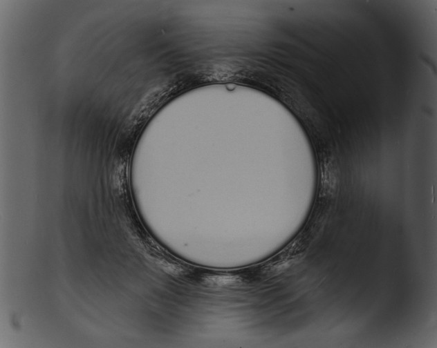 X0000103300503200809261316