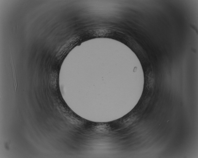 X0000103300505200809261316