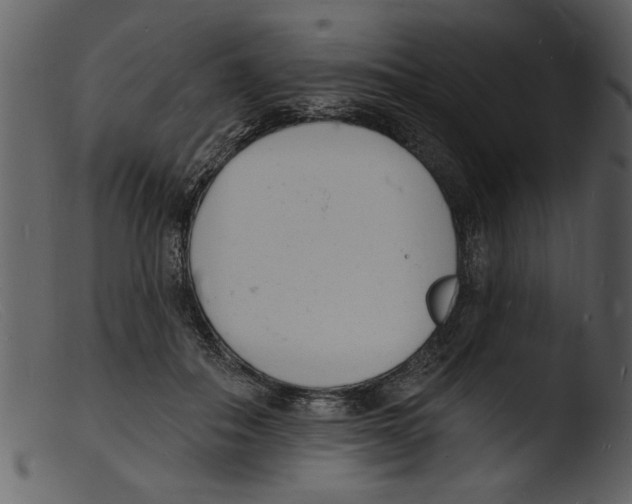 X0000103300506200809261316