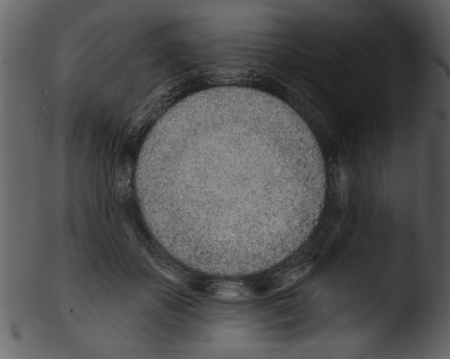 X0000103300507200809261316