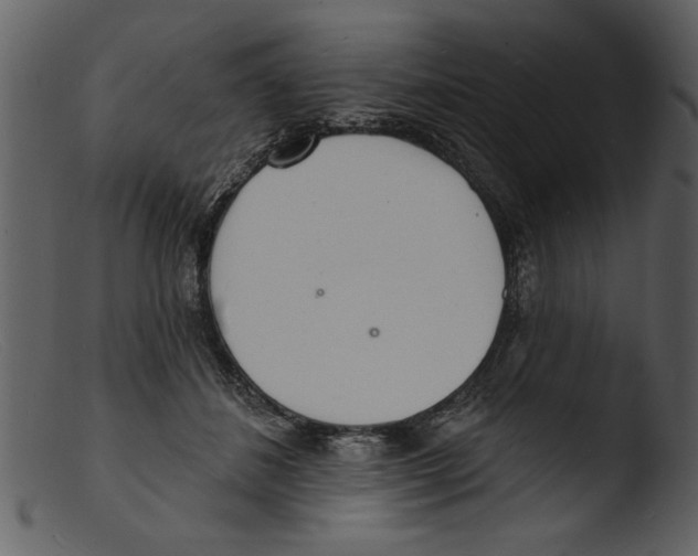 X0000103300508200809261316