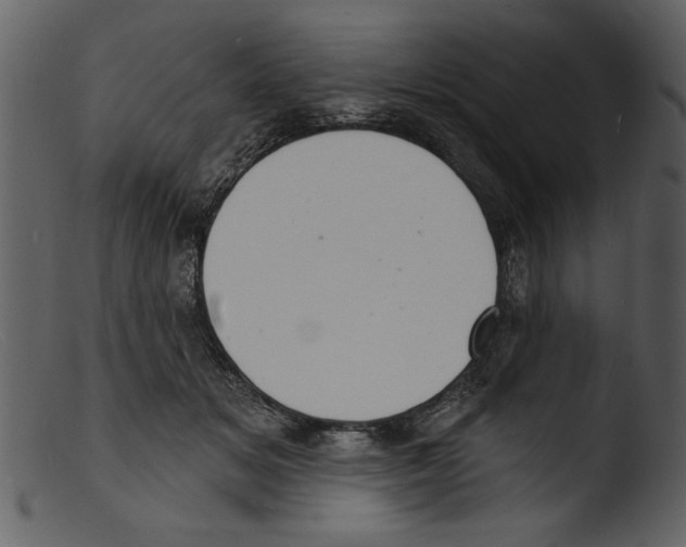 X0000103300509200809261316