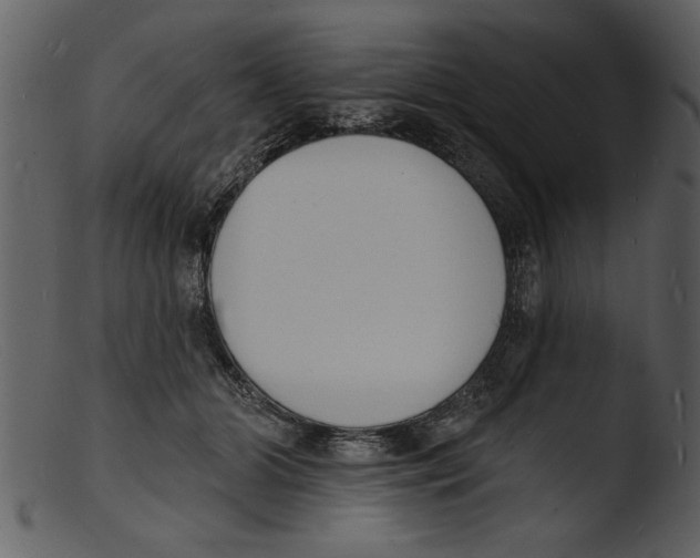 X0000103300510200809261316