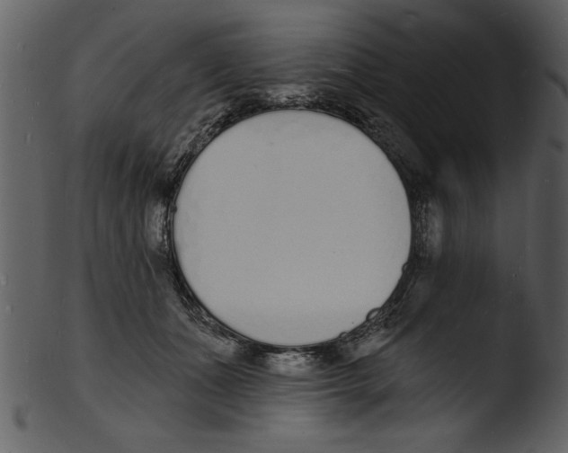 X0000103300511200809261316