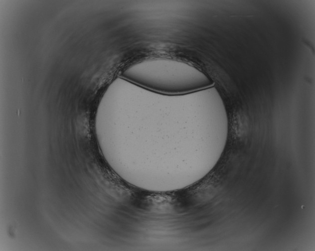 X0000103300512200809261316