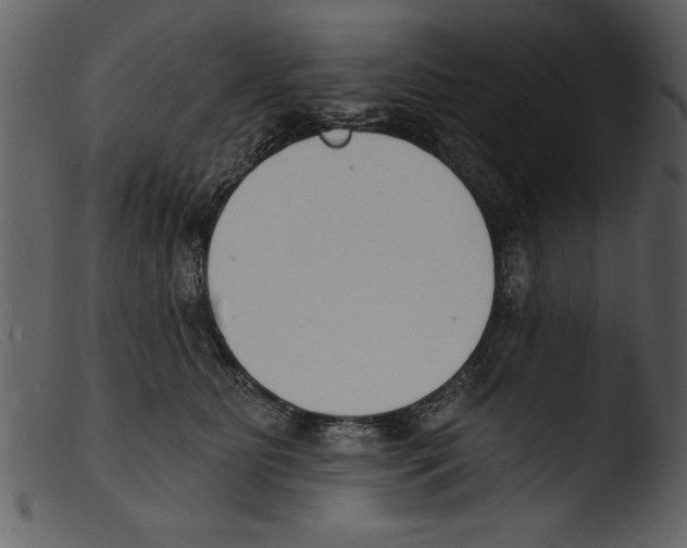 X0000103300515200809261316