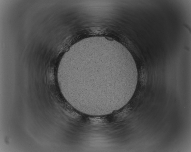 X0000103300516200809261316
