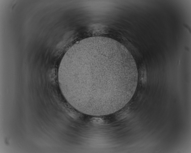 X0000103300519200809261316