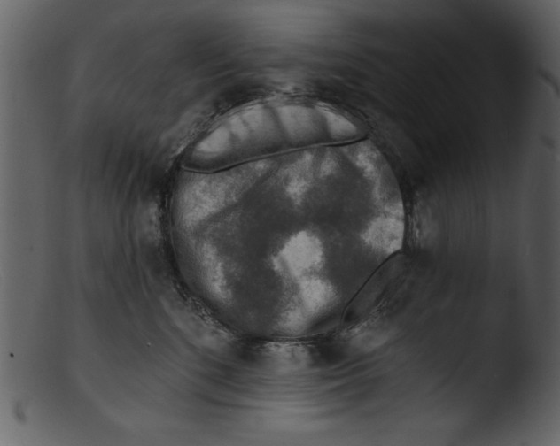 X0000103300520200809261316