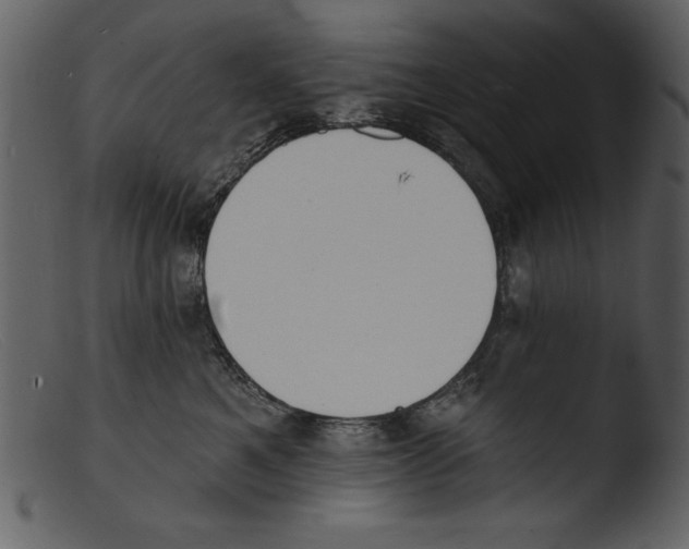 X0000103300521200809261316