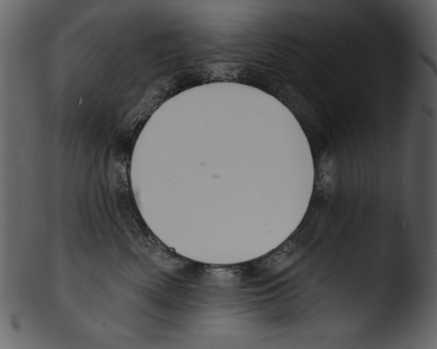 X0000103300522200809261316