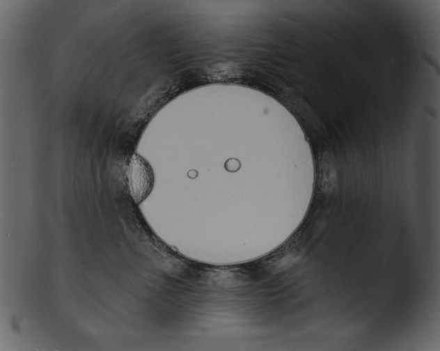X0000103300523200809261316