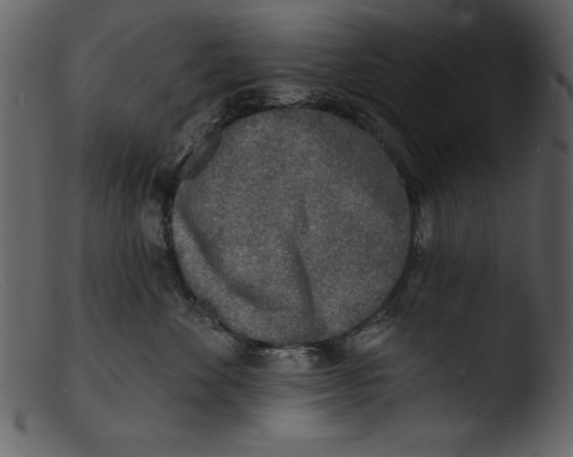 X0000103300524200809261316