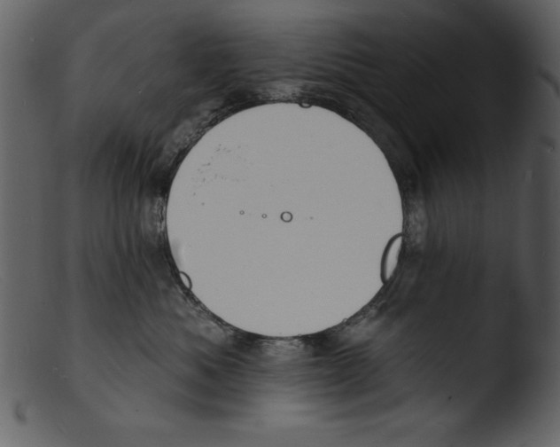 X0000103300525200809261316