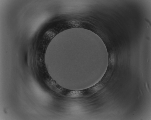 X0000103300526200809261316