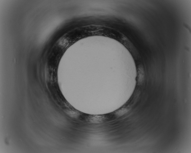 X0000103300527200809261316