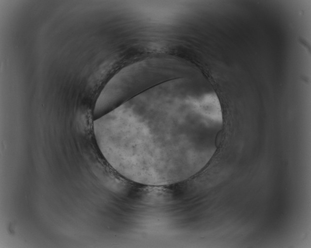 X0000103300528200809261316