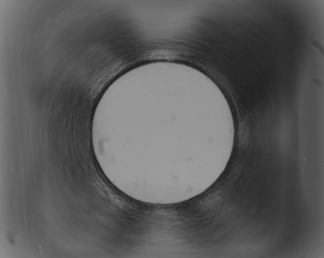X0000103300529200809261315