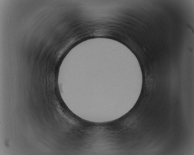 X0000103300530200809261315