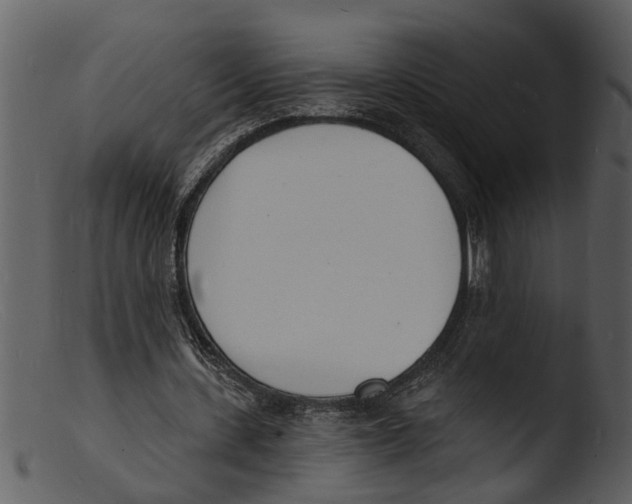 X0000103300531200809261315