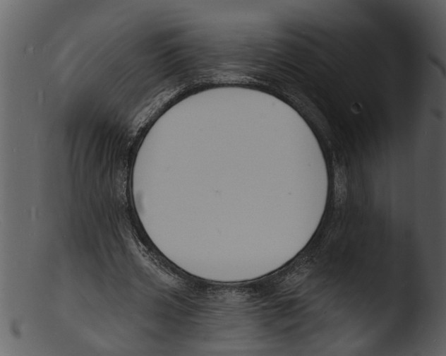 X0000103300533200809261315
