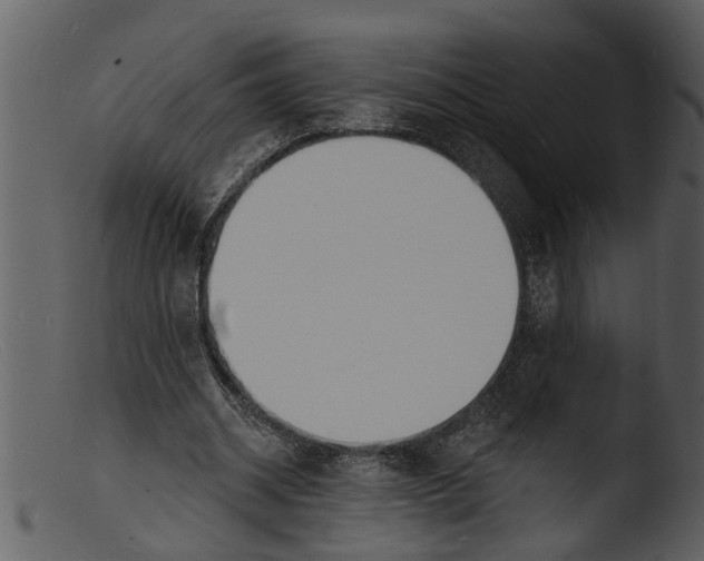 X0000103300534200809261315