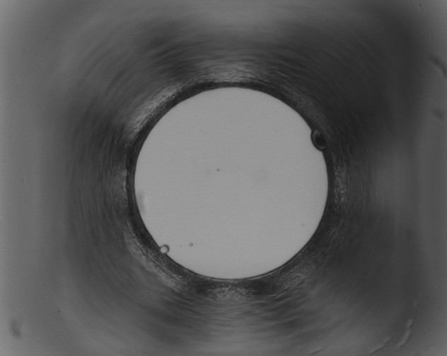 X0000103300535200809261315