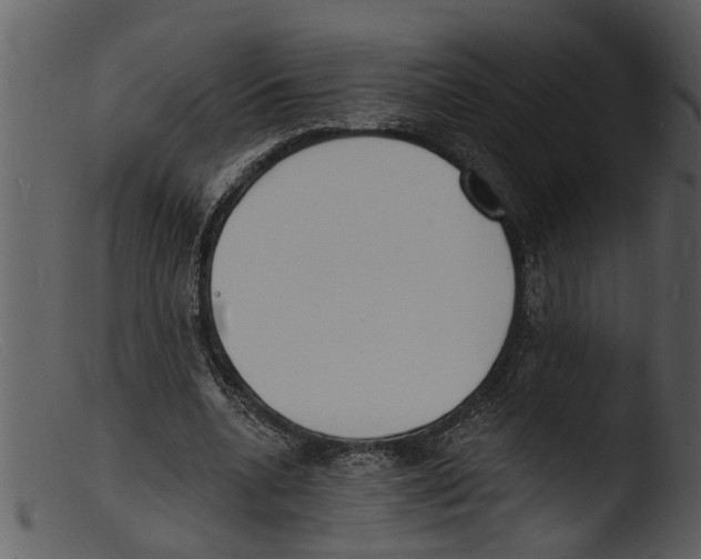X0000103300536200809261315