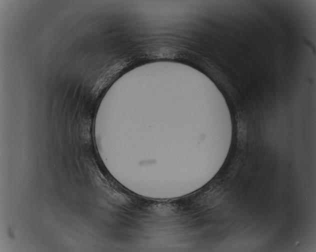 X0000103300537200809261315