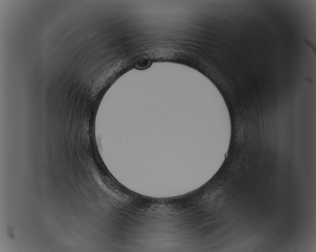 X0000103300538200809261315