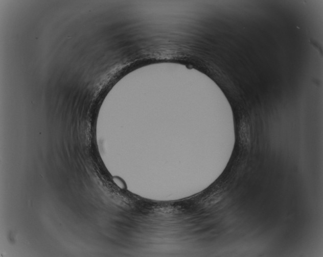 X0000103300540200809261315