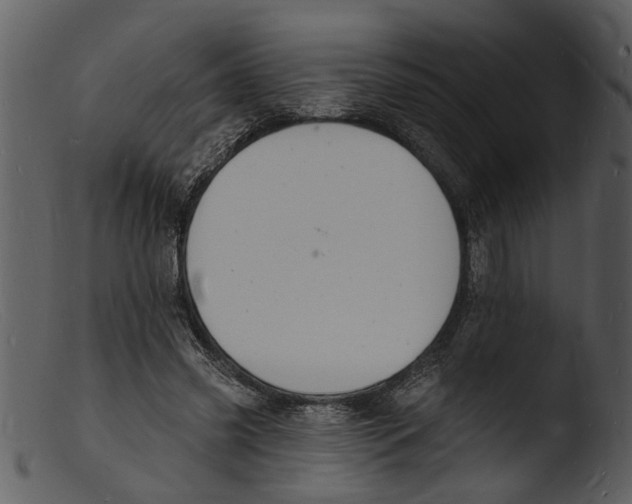 X0000103300541200809261315