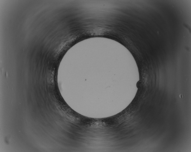 X0000103300543200809261315