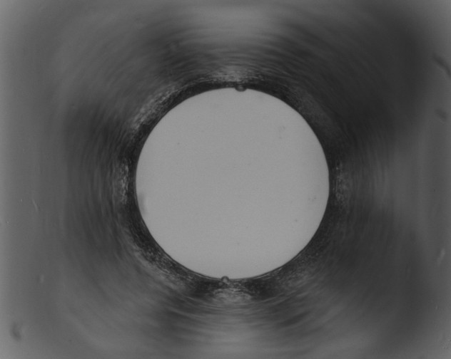 X0000103300544200809261316